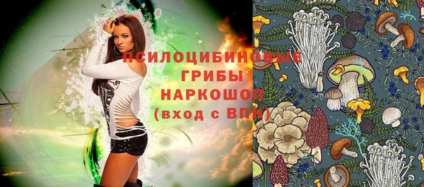 крисы Бронницы