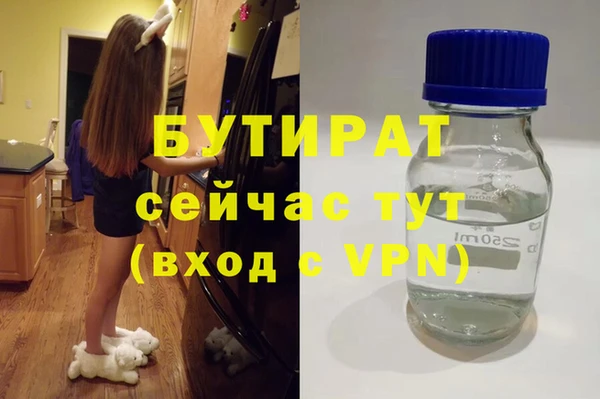 шишки Бородино