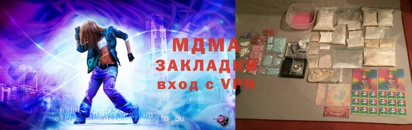 шишки Бородино