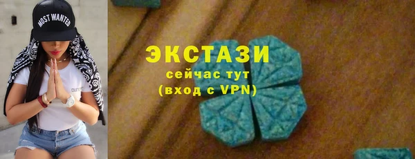 шишки Бородино