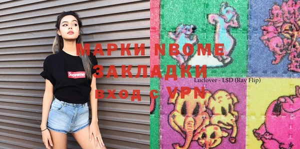 шишки Бородино