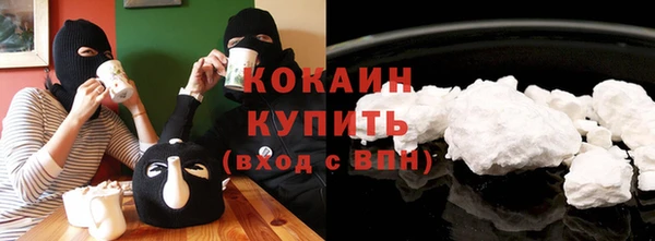 шишки Бородино