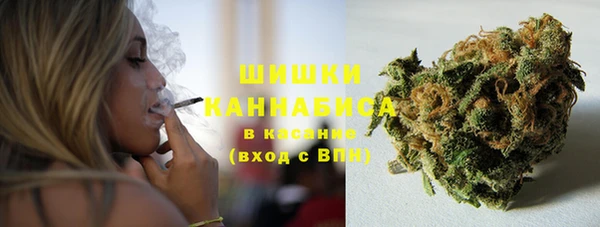 шишки Бородино
