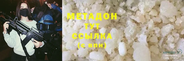 шишки Бородино