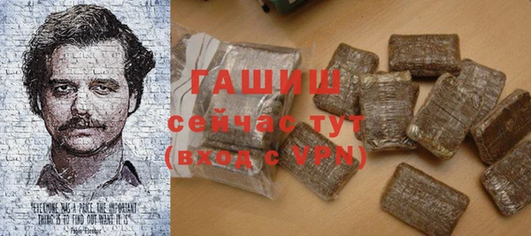 шишки Бородино