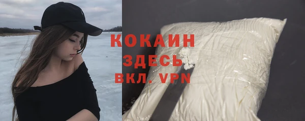 крисы Бронницы