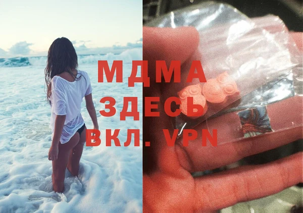 шишки Бородино