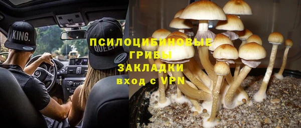 шишки Бородино
