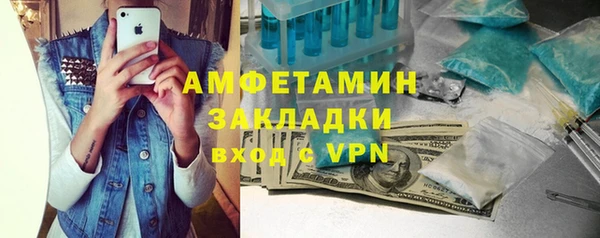 шишки Бородино