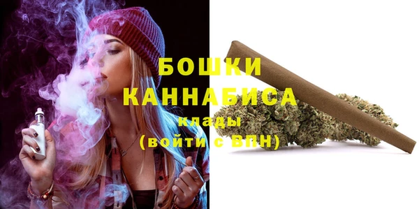 крисы Бронницы