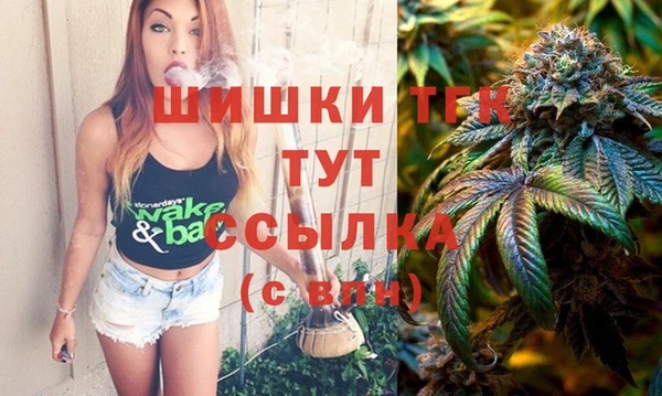 крисы Бронницы
