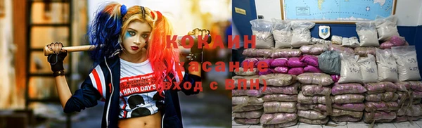 крисы Бронницы