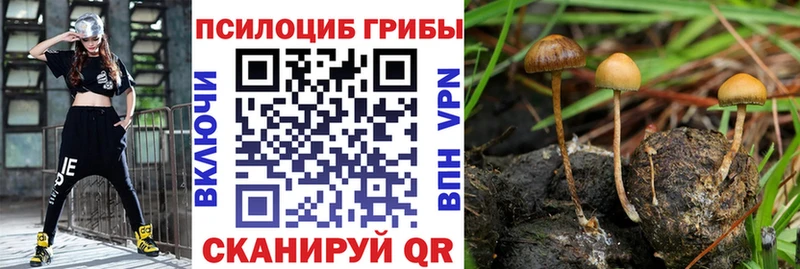 Купить закладки  Лихославль  Галлюциногенные грибы Psilocybine cubensis 